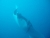 k-k-P7261143.JPG