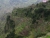 IMG_2272.bJPG.JPG