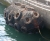 sagras-funchal 14.07.2012 024.JPG