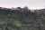 Rundwanderung Levada Moinho_Noname 005.jpg