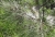 DSC00034.jpg