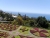 k-P1000058.JPG