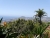 k-P1000068.JPG