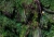 IGM_8409_Queimadas_1000_net_300.jpg