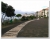 P 1.jpg