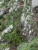 Wackelstein-m.jpg