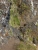 k-08.06. Nordkstenwanderung (61).JPG