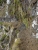 k-08.06. Nordkstenwanderung (94).JPG