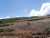 k-P1000646.JPG