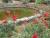 k-DSCN2617.JPG