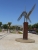 k-DSCN1408.JPG