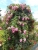 k-DSCN2639.JPG