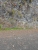 k-DSCN2784.JPG