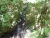 k-DSCN3318.JPG