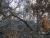 k-DSCN3724.JPG