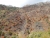 k-DSCN3551.JPG