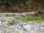 k-DSCN3560.JPG