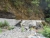 k-DSCN3558.JPG