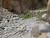 k-DSCN3590.JPG