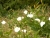 k-DSCN5135.JPG