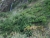 k-DSCN5262.JPG