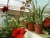 k-DSCN5292.JPG