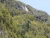 k-DSCN5430.JPG