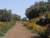 k-DSCN5364.JPG