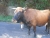 k-DSCN5464.JPG