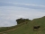 k-DSCN5497.JPG