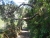 k-DSCN5583.JPG
