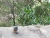 k-DSCN5590.JPG