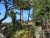 k-DSCN6082.JPG