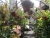 k-DSCN6084.JPG