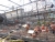 k-DSCN6106.JPG