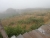 k-DSCN6130.JPG