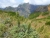 k-DSCN6175.JPG