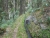 k-DSCN6197.JPG