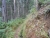 k-DSCN6200.JPG