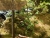 k-DSCN6505.JPG