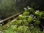k-DSCN6538.JPG