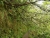 k-DSCN6546.JPG