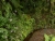 k-DSCN6554.JPG