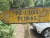 k-DSCN7574.JPG