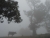 k-DSCN7658.JPG