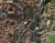 staMaria.jpg