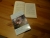 k-P1070437.JPG