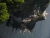 kIMG_7180.JPG