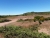 20180708_153802.jpg
