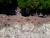 20180708_140834.jpg